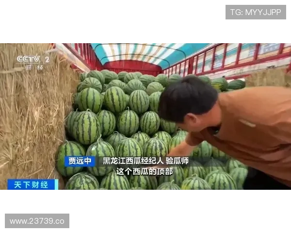 17吃瓜官网免费入口最新入口地址全攻略